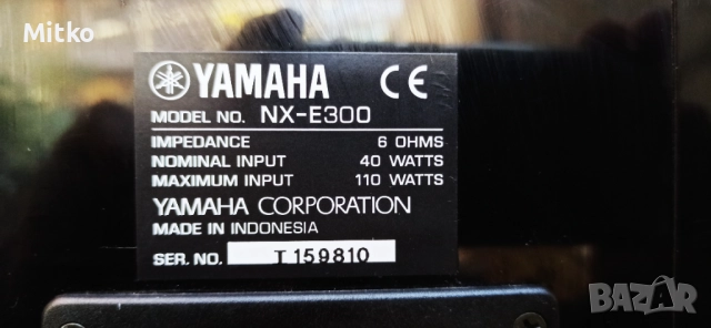 Pioneer NX-E300 букшелф тонколони, снимка 5 - Тонколони - 52436284
