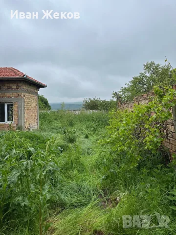 Премахване на опасни дървета, косене и почистване, снимка 5 - Други услуги - 56253885