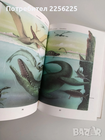 Животните от праисторическата епоха, снимка 4 - Детски книжки - 52214907