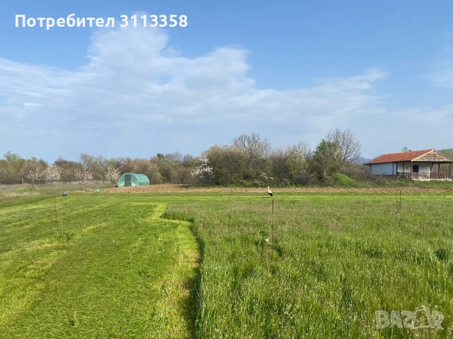 Парцел в село Долнослав, снимка 3 - Парцели - 54198797