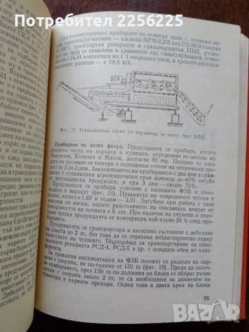 Календар за зеленчуко производителя, снимка 4 - Специализирана литература - 50501801