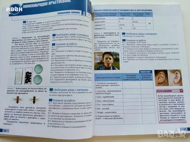 Биология и здравно образование 10.клас - 2019г. Издателство "Клет България", снимка 4 - Учебници, учебни тетрадки - 55754116