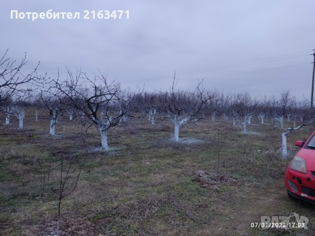 Имот-земеделска земя/ овощна градина , снимка 4 - Земеделска земя - 40503991