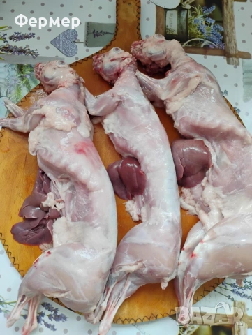 Прясно заешко месо