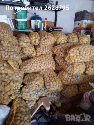 Картофи за семе и консумация, Родопски картофи, снимка 10 - Хранителни добавки - 54196858