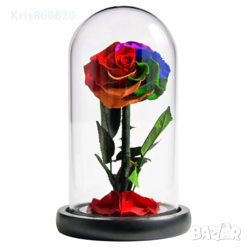 Омагьосаната роза – лимитирано издание Вечна роза - Цветна радост в подаръчна опаковка, снимка 2 - Стайни растения - 44560338