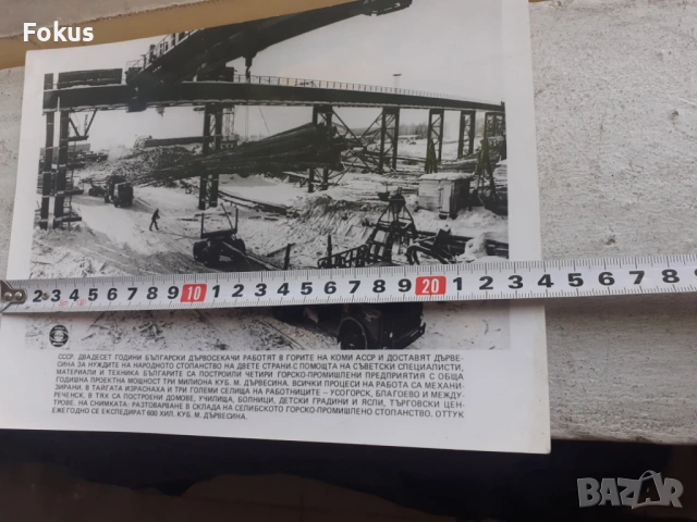Снимка фотокопие Соц БТА ПресФото български дървосекачи СССР, снимка 3 - Антикварни и старинни предмети - 53330429