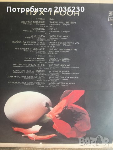 Плочи, снимка 12 - Грамофонни плочи - 29242097