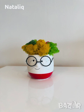 Декорации от скандинавски мъх, снимка 9 - Декорация за дома - 53307440