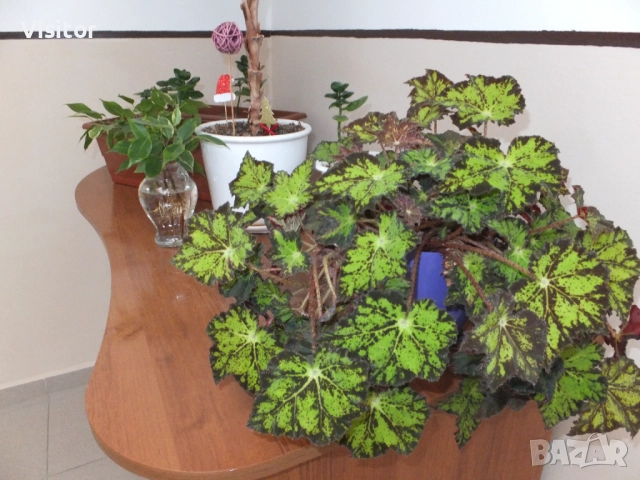 Fujifilm FinePix F770EXR   16 MPx, снимка 15 - Фотоапарати - 52836329