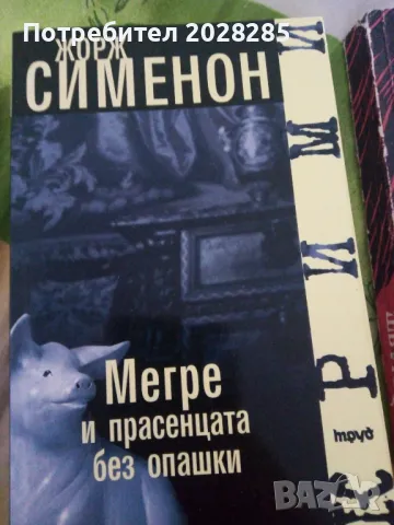 Книги по 10 лева, снимка 4 - Художествена литература - 47324550