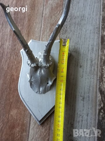 Трофей от сръндак, снимка 4 - Колекции - 38701432