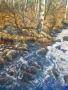 Витошка река, снимка 2