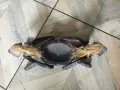 стара африканска статуетка , снимка 2