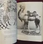 Chinese Art - илюстрирана история, снимка 16