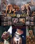 American Bully XL, снимка 14