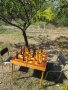 градински шах, снимка 10