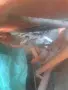 Продавам фреза за малък трактор, снимка 9