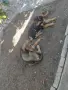 Град Първомай .., снимка 1
