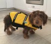 Спасителна жилетка за куче Кучешка предпазна жилетка за вода , снимка 7