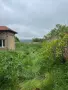 Премахване на опасни дървета, косене и почистване, снимка 5