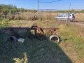 Продавам браздилник , снимка 1