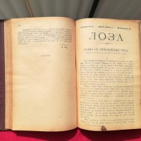Списание "Лоза"1894г. книжка V и други библ.Стою Шишков, снимка 1 - Други - 30346344