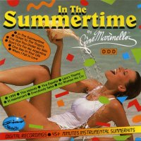 CD диск The Gino Marinello Orchestra – In The Summertime, 1991, снимка 1 - CD дискове - 29134832