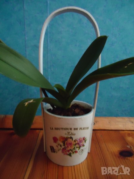 кошница за цветя, снимка 1