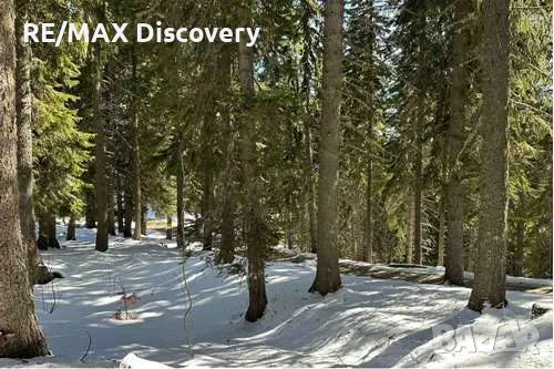 Инвестиционен имот  в к.к Пампорово, снимка 1