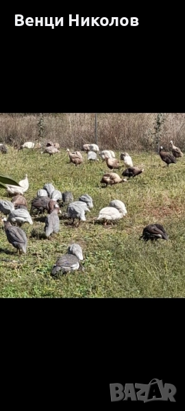 Продавам Токачки , снимка 1