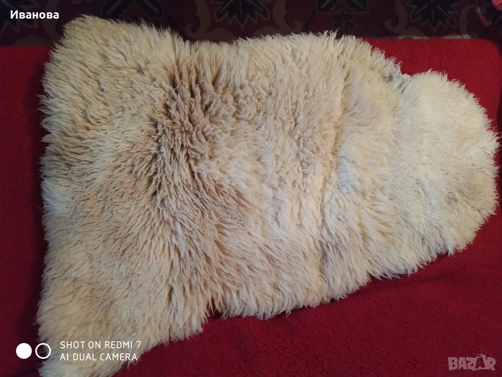 Агнешка кожа, снимка 1