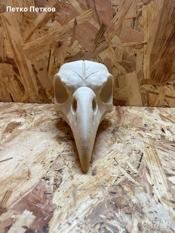 3D принтиран череп на гарван – декоративен модел, снимка 1