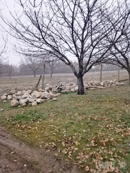 Подарявам камъни за ограда или друго., снимка 1