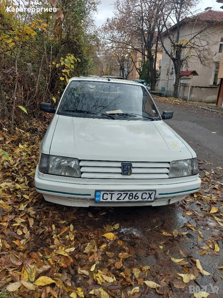 Peugeot 309 GREEN, снимка 1
