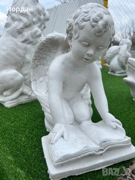 Градинско ангелче, снимка 1