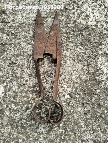 Ножица за стригане на овце, снимка 1