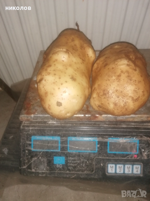 картофи за пълнене , снимка 1