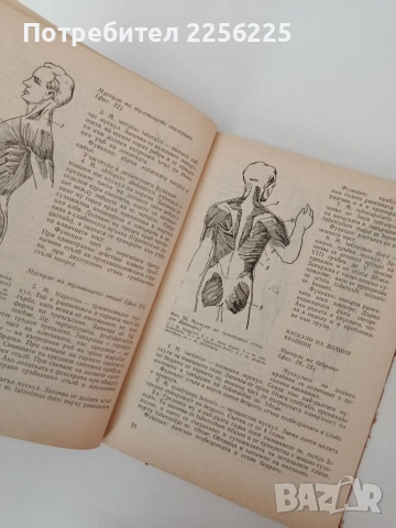 Ръководство по масаж, снимка 4 - Специализирана литература - 54309724