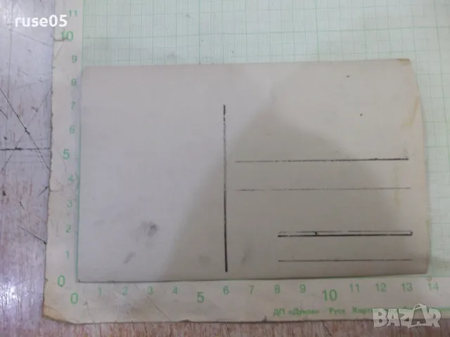 Снимка стара на Радка - 2, снимка 2 - Колекции - 48004144