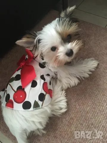 Рокли за кучета и котки. Бяла рокля за куче. Дрехи за кучета. Кучешки дрехи. кучешки рокли 

, снимка 4 - За кучета - 47608153