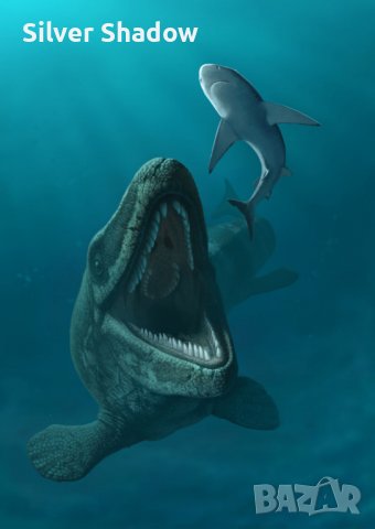 Фосилни зъби на Mosasaurus Leiodon - Късна креда (66 - 82.7 Ма), снимка 5 - Колекции - 37404312