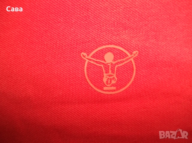 Тениски CHIEMSEE  мъжки,ХЛ-3ХЛ, снимка 4 - Тениски - 51133024