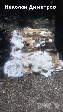 Заешки кожи обработени в кожарска за фабрика Велур . При покупка над 5 кожи безплатна доставка., снимка 6 - Други - 51549805