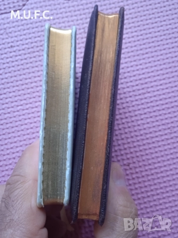 Немски библии 1929.Перфектни, снимка 5 - Антикварни и старинни предмети - 52855810