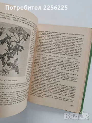 Ръководство за билкосъбиране, снимка 3 - Специализирана литература - 56474723
