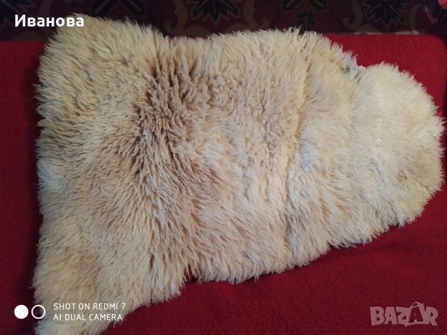 Агнешка кожа