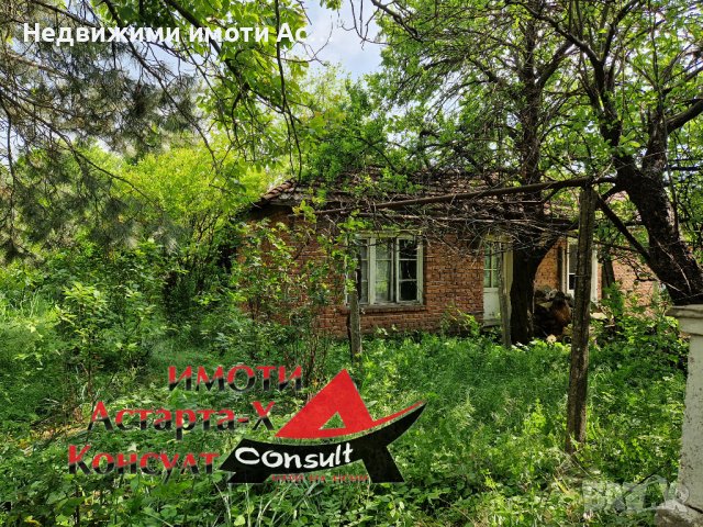 Астарта-Х Консулт продава къща в село Добрич общ.Димитровград , снимка 4 - Къщи - 40769060