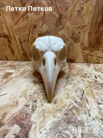 3D принтиран череп на гарван – декоративен модел