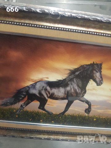 Картина, снимка 4 - Картини - 42356841